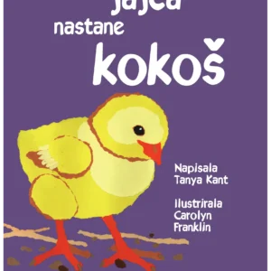 KAKO IZ JAJCA NASTANE KOKOŠ