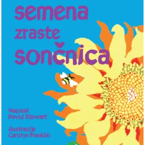 KAKO IZ SEMENA ZRASTE SONČNICA