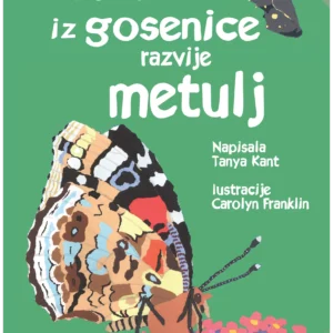 KAKO SE IZ GOSENICE RAZVIJE METULJ