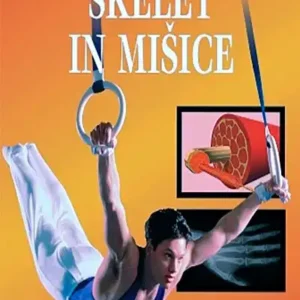 SKELET IN MIŠICE