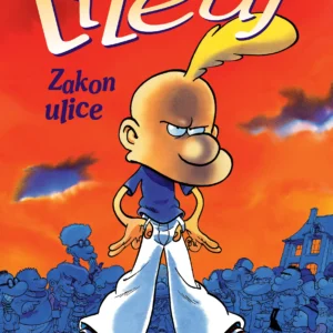 ZAKON ULICE