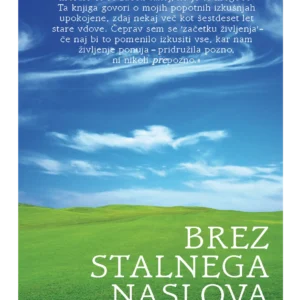 BREZ STALNEGA NASLOVA