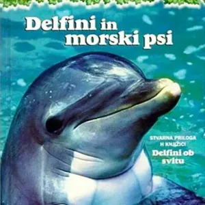 DELFINI IN MORSKI PSI
