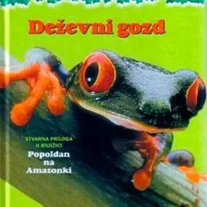 DEŽEVNI GOZD