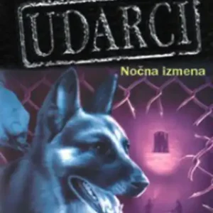 NOČNA IZMENA