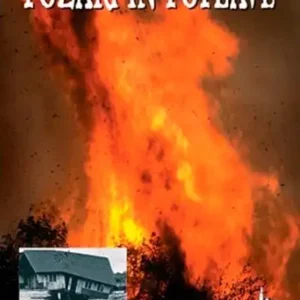 POŽARI IN POPLAVE