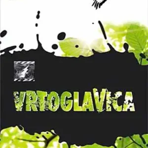 VRTOGLAVICA