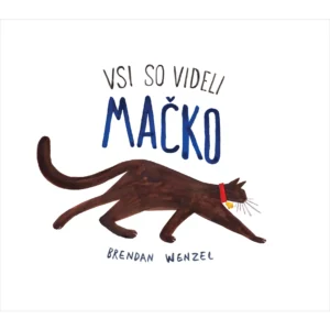VSI SO VIDELI MAČKO